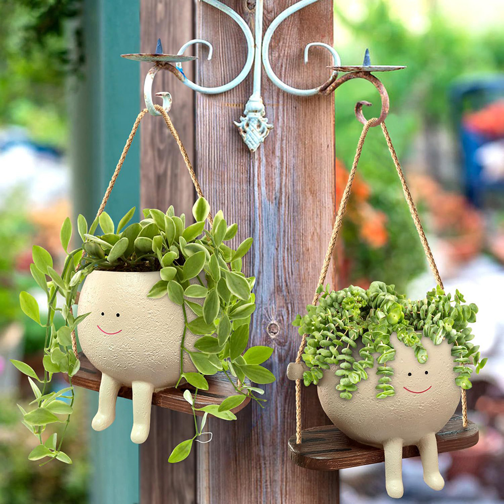 Plant Hanger Baskets Lovely Sw - Echeveria Succulent recension och pris