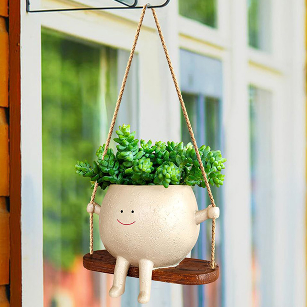 Plant Hanger Baskets Lovely Sw - Echeveria Succulent recension och pris