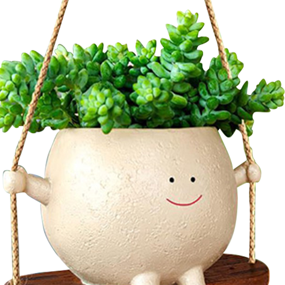 Plant Hanger Baskets Lovely Sw - Echeveria Succulent recension och pris