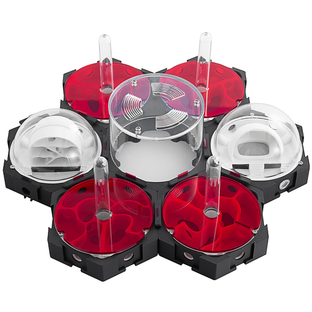 3D Printing Ant Nest Infinitel - Begonia Rex recension och pris