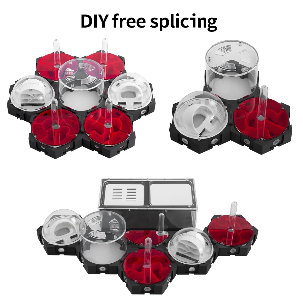 3D Printing Ant Nest Infinitel - Begonia Rex recension och pris