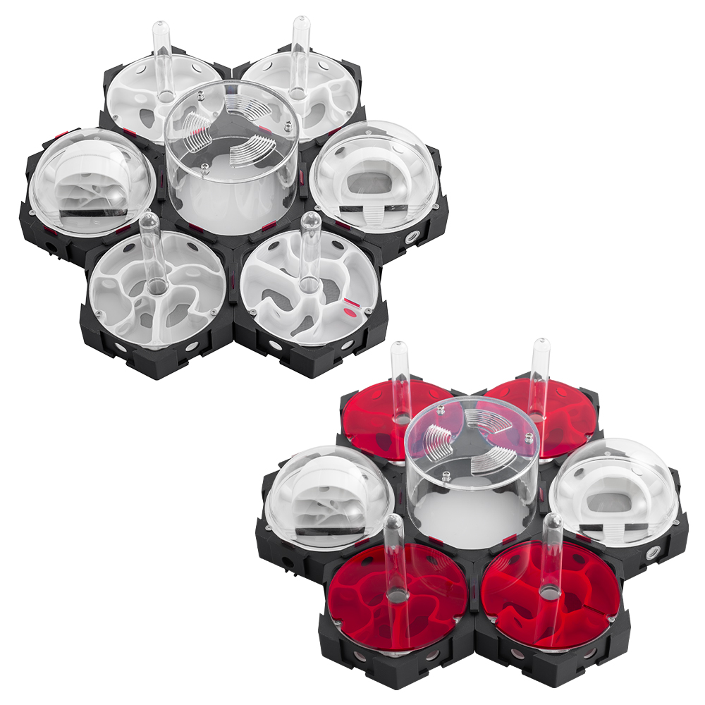 3D Printing Ant Nest Infinitel - Begonia Rex recension och pris