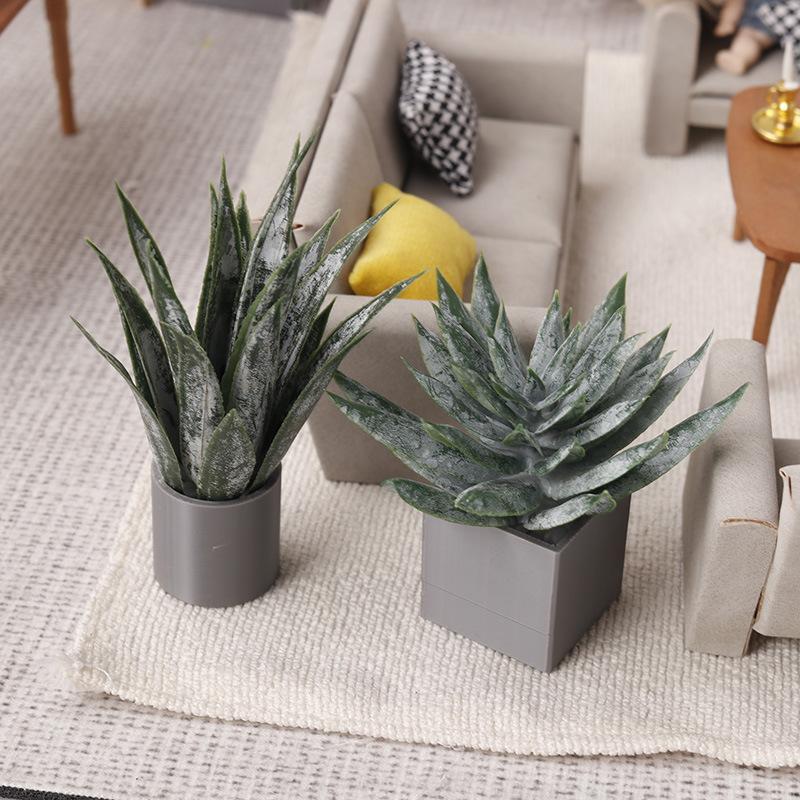 Miniature Aloe Vera Potted Pla - Aloe Vera Pot recension och pris
