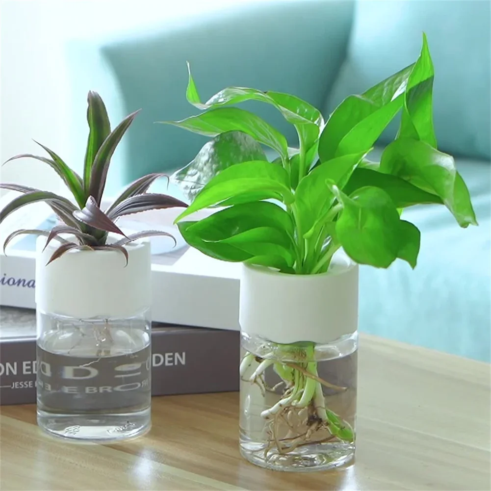 Mini Hydroponic Flower Pot Tra - Aloe Vera Pot recension och pris