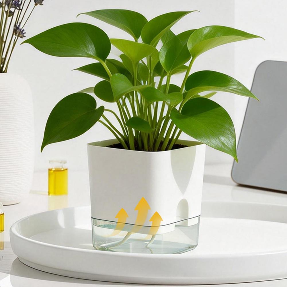 Automatic Watering Flower Pots - Aloe Vera Pot recension och pris