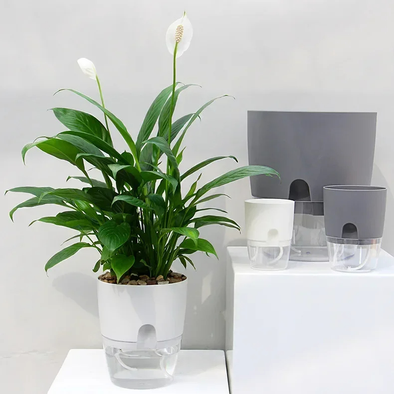 Transparent Double Layer Plast - Aloe Vera Pot recension och pris