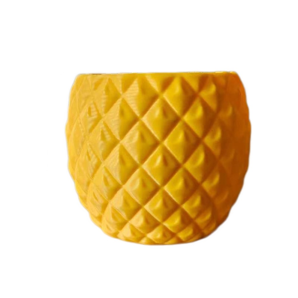 Plastic Fruit Flower Pot 3D Pr - Echeveria Succulent recension och pris