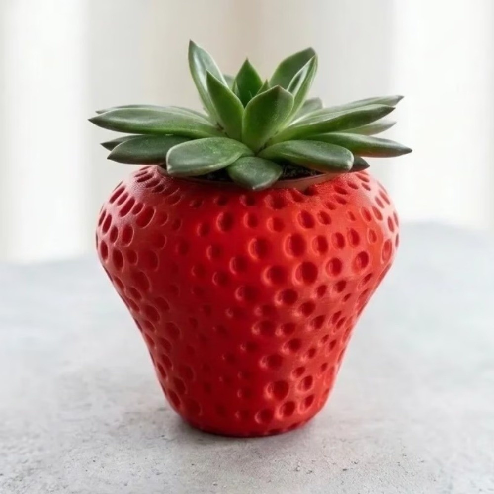 Plastic Fruit Flower Pot 3D Pr - Echeveria Succulent recension och pris