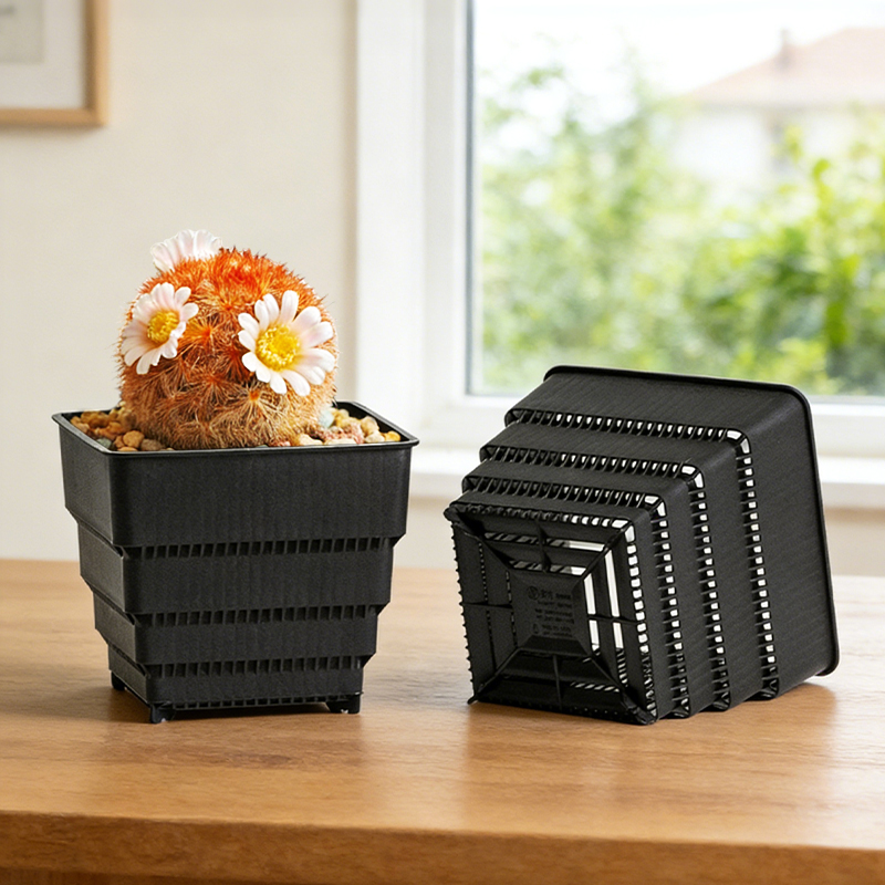 MESHPOT 6-Pack Square Pots for - Echeveria Succulent recension och pris