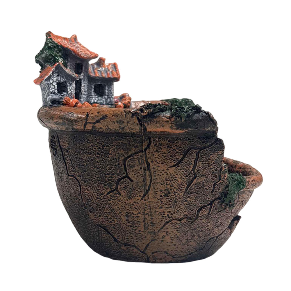 Succulent Pot Vintage Multi Po - Echeveria Succulent recension och pris