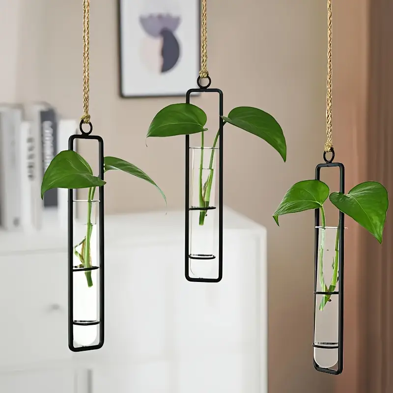1Pc Fashionable Metal Pointed  - Aloe Vera Pot recension och pris
